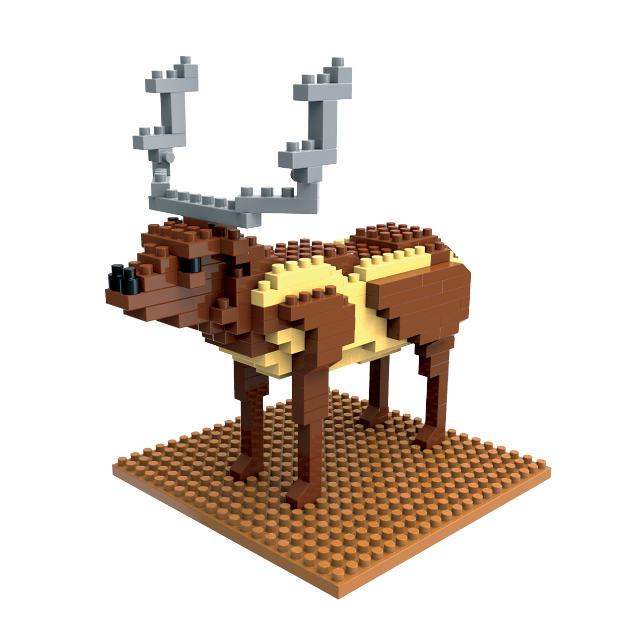 Elk