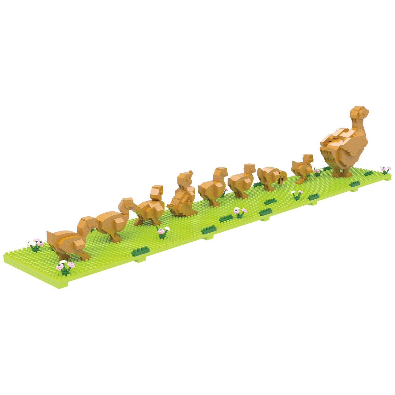 Boston Ducklings