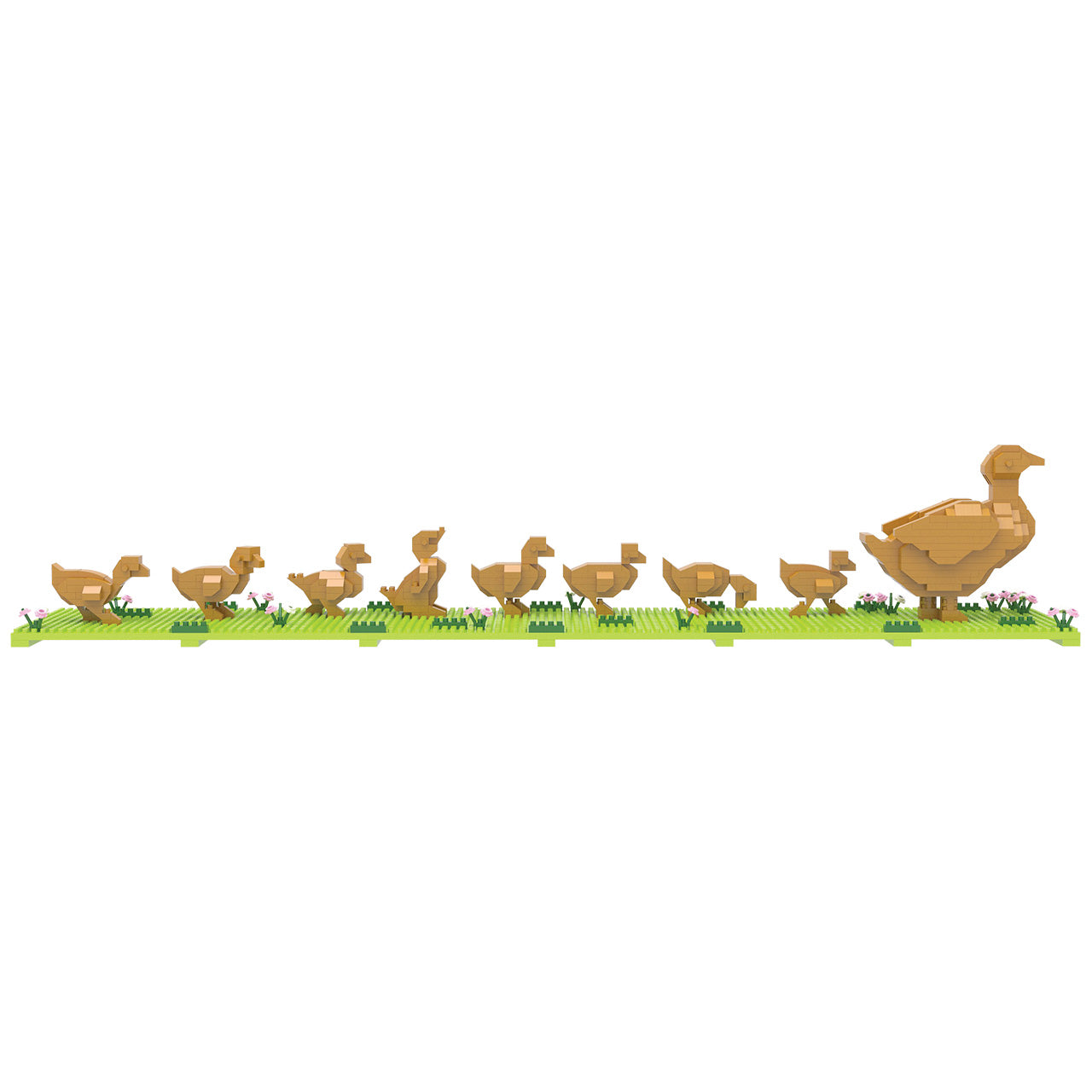 Boston Ducklings