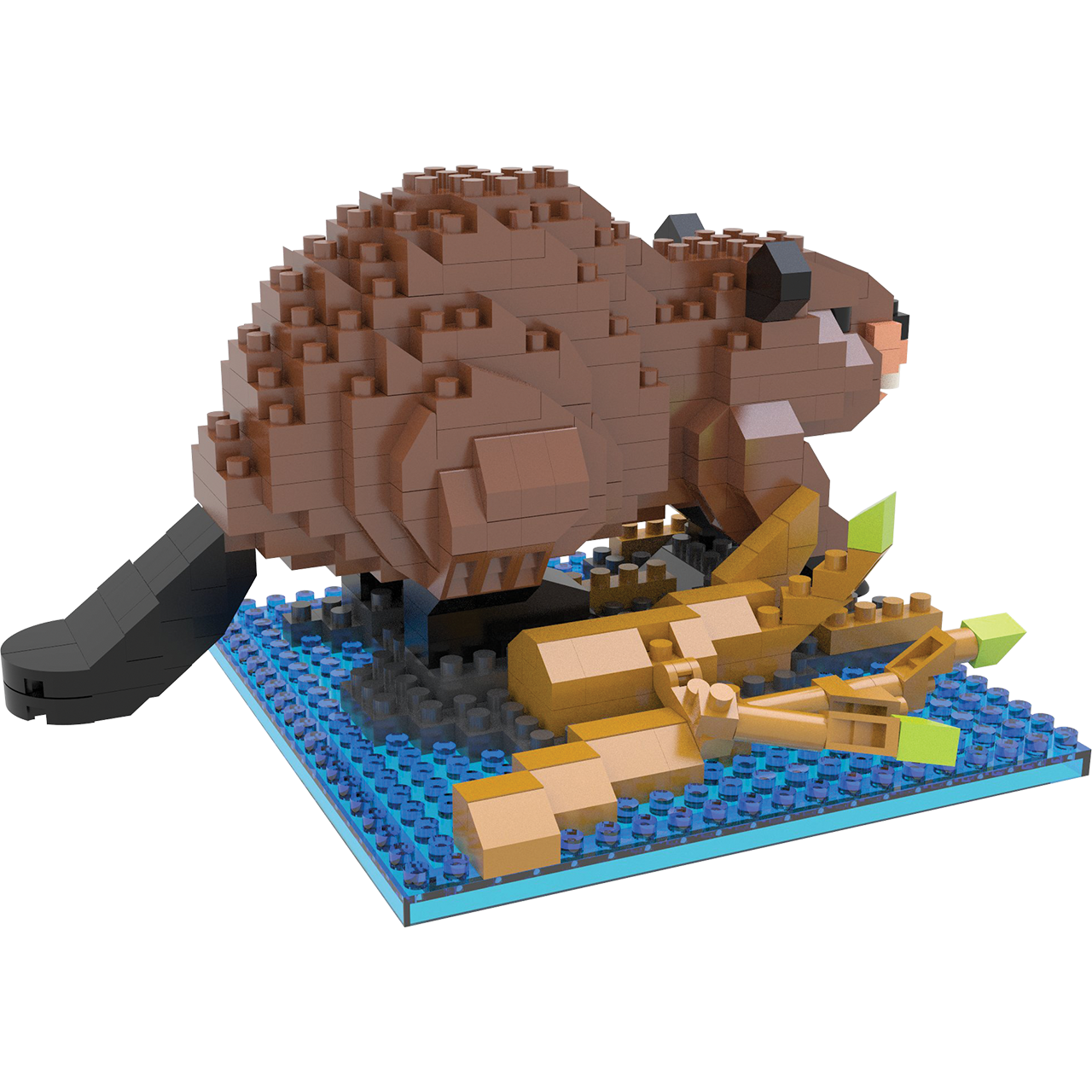 Beaver