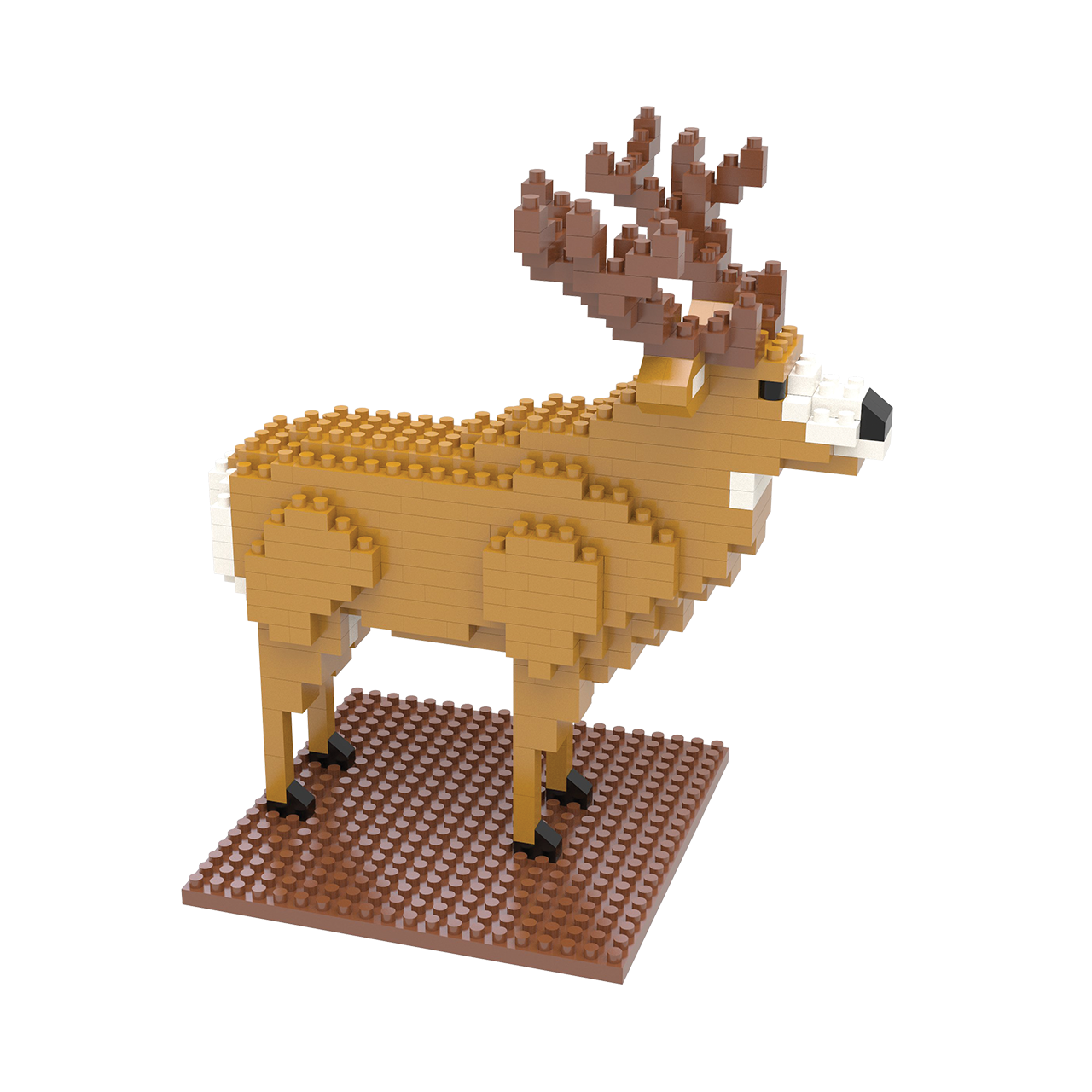 Mule Deer