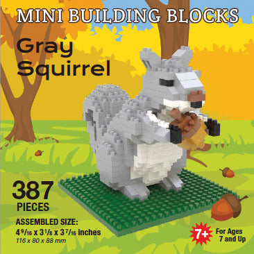 Gray Squirrel