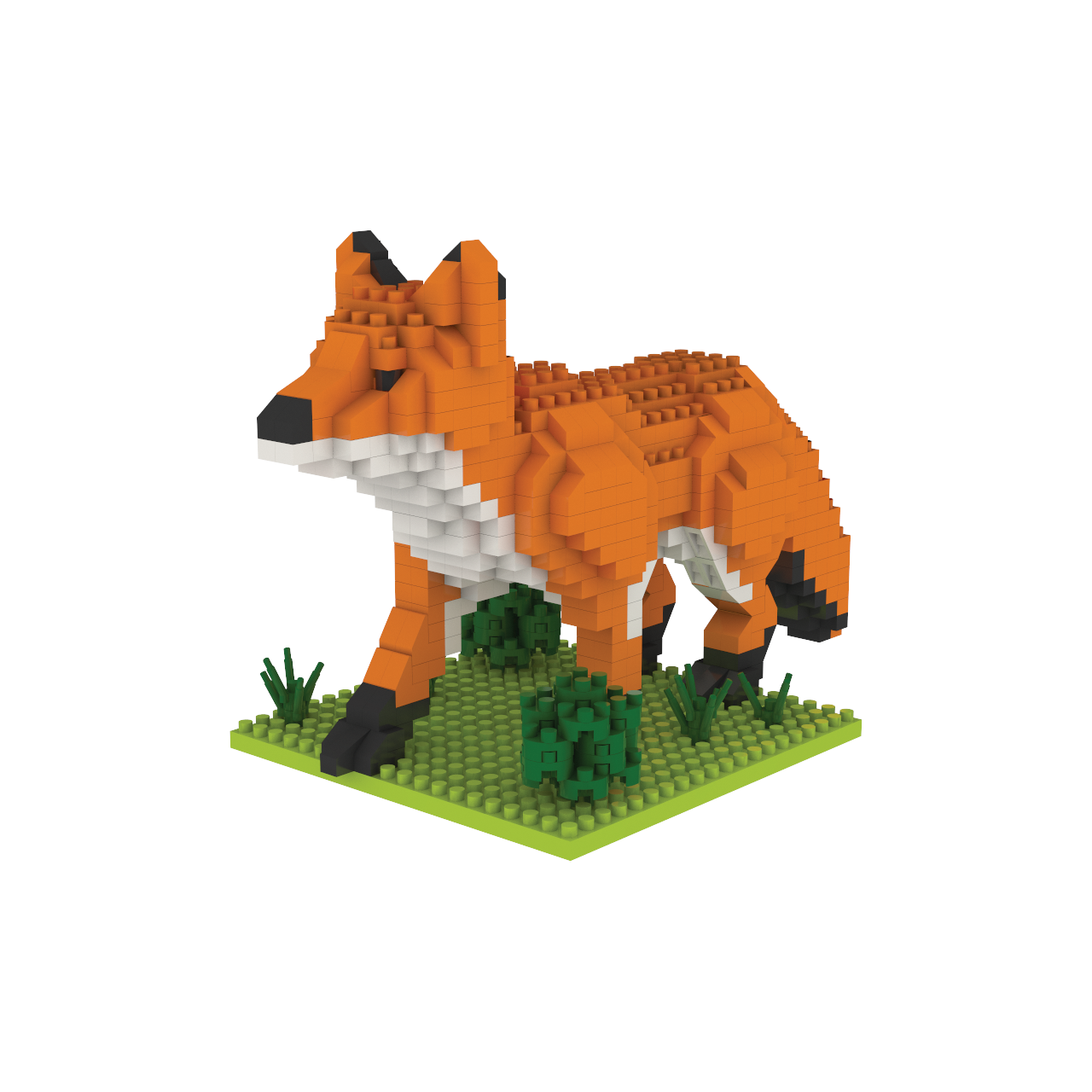 Red Fox