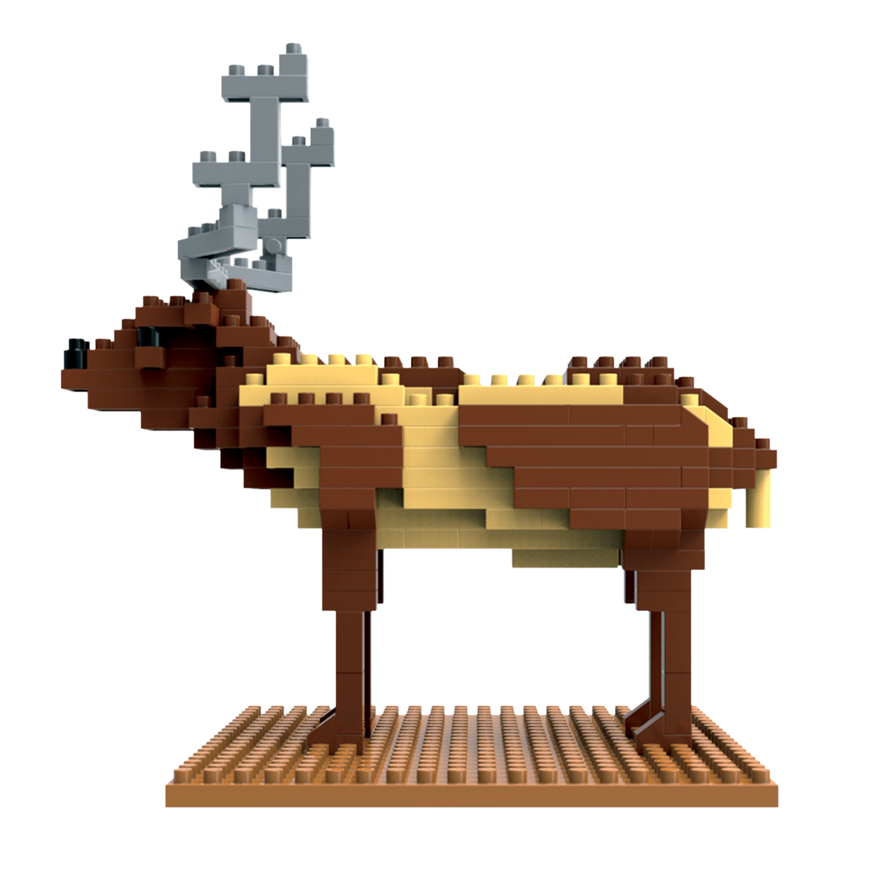 Elk