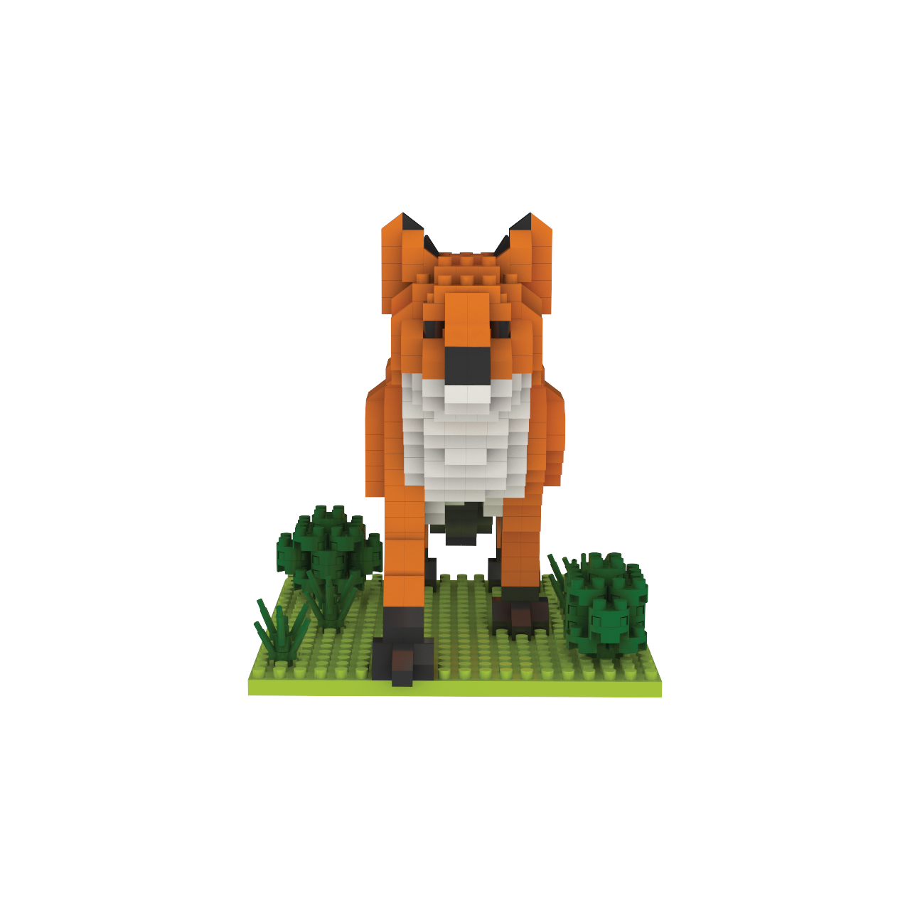 Red Fox