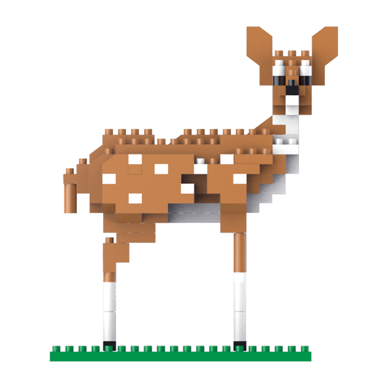 Baby white tailed deer