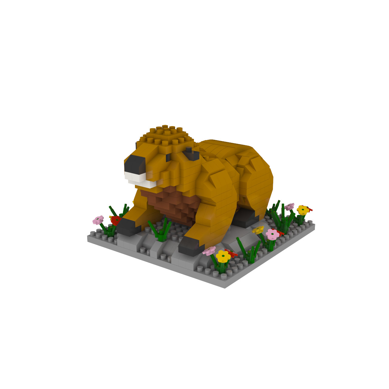 Marmot