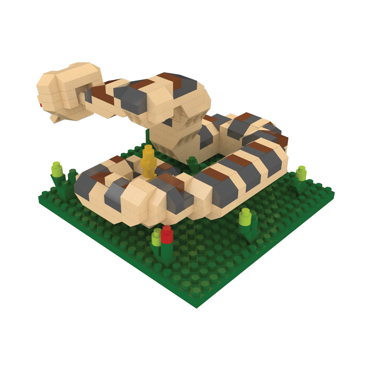 Western Diamondback Rattlesnake