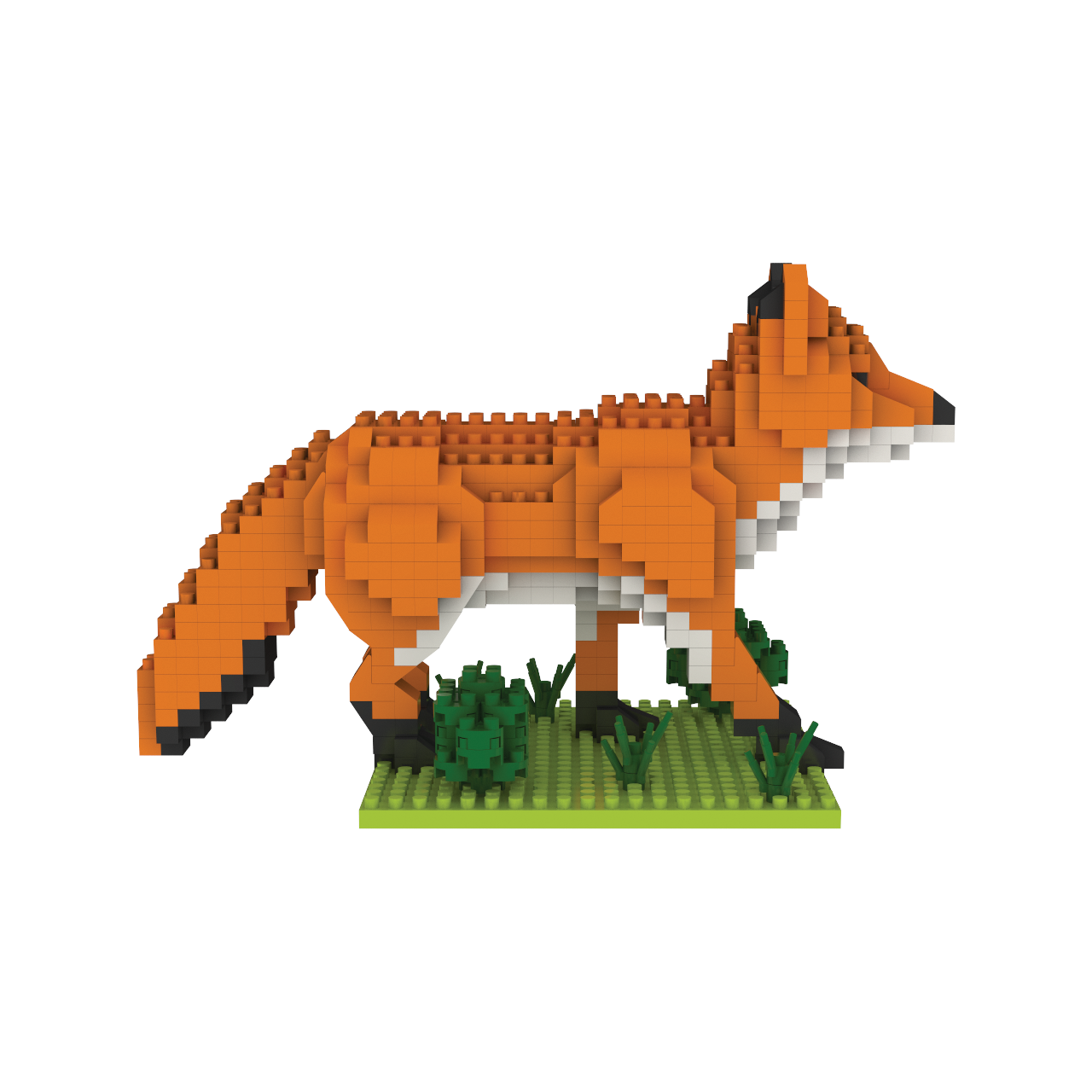 Red Fox