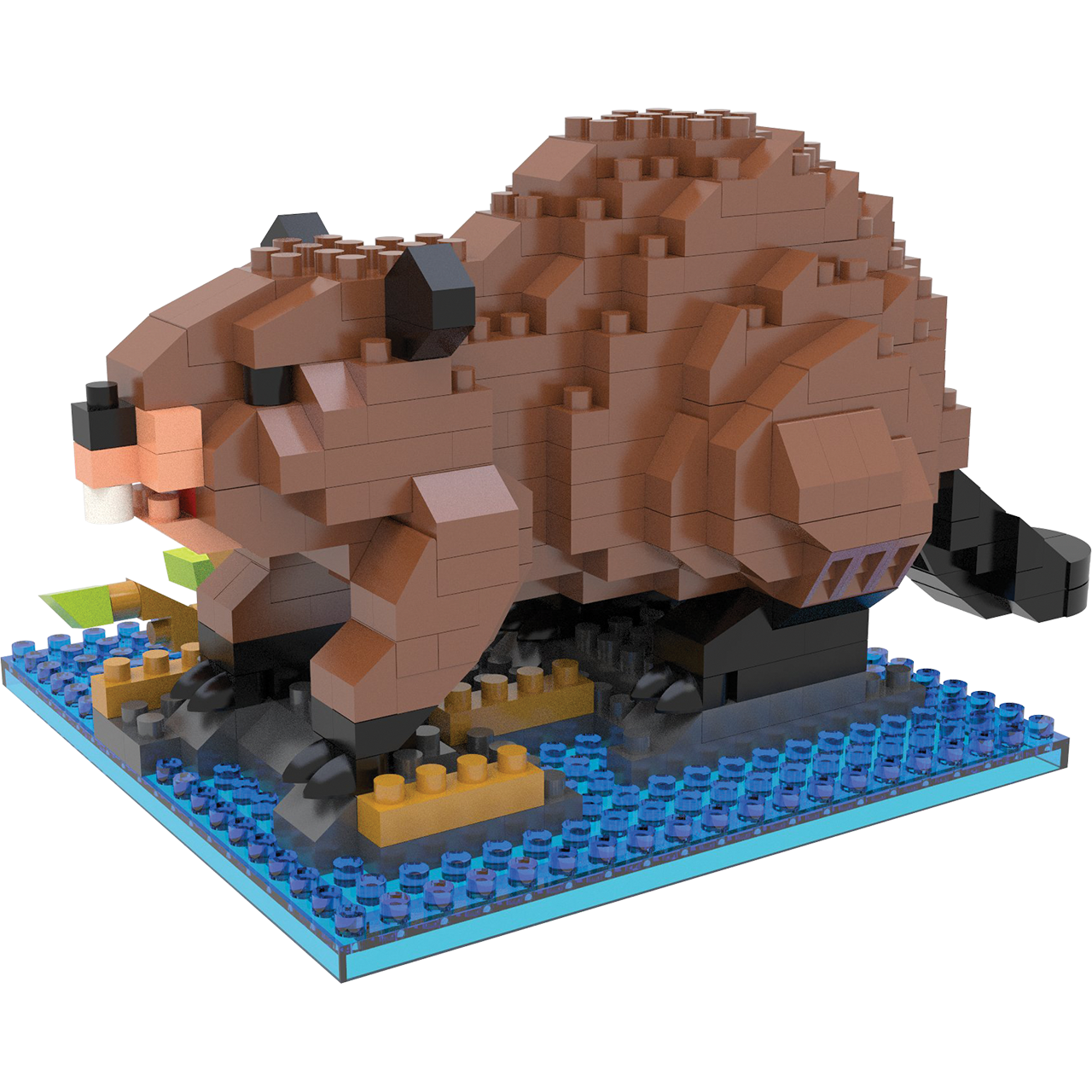 Beaver