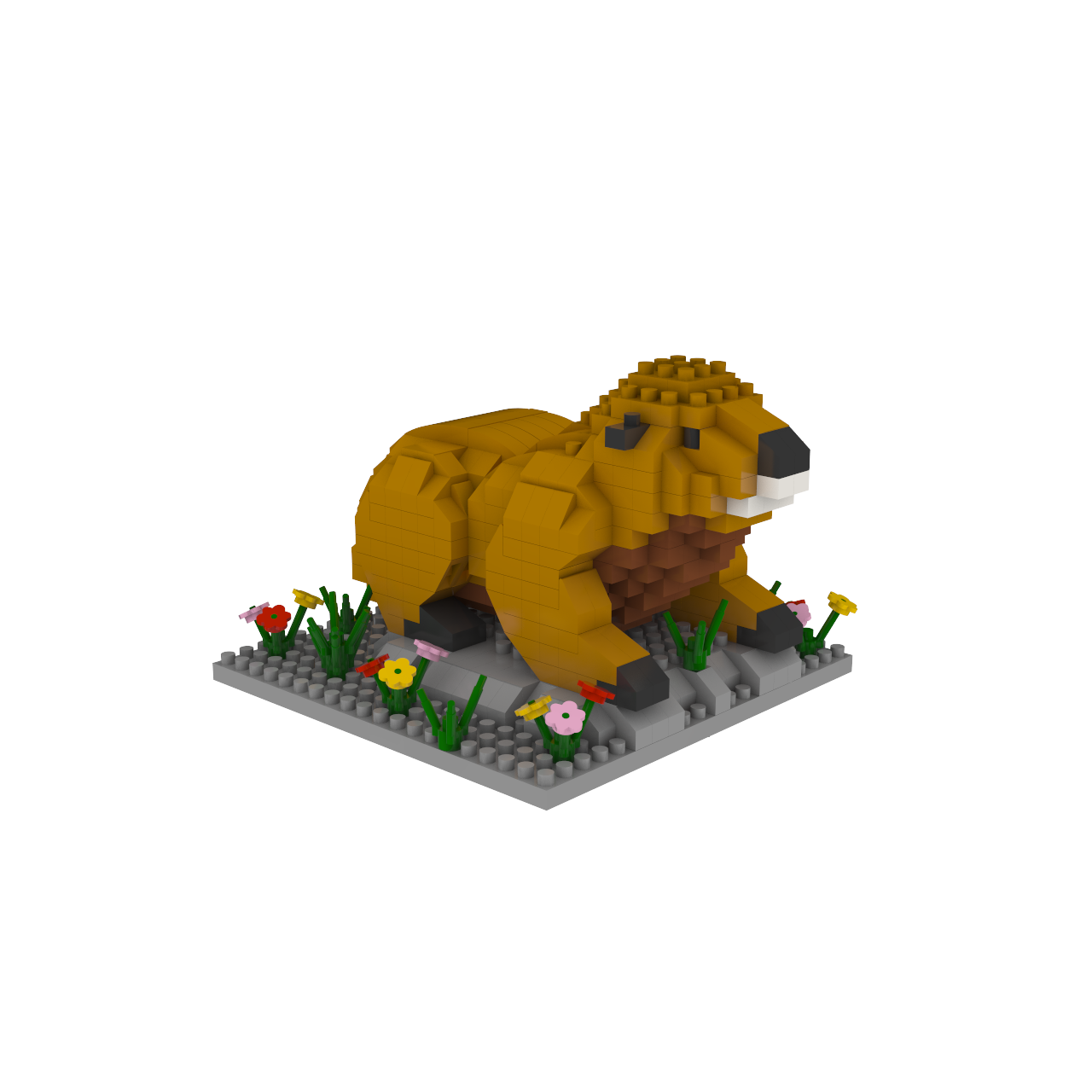 Marmot