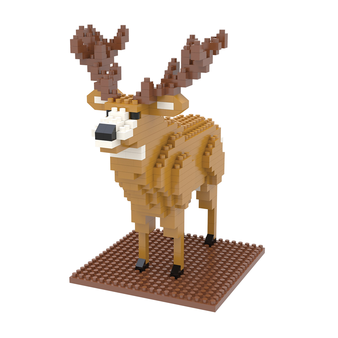 Mule Deer