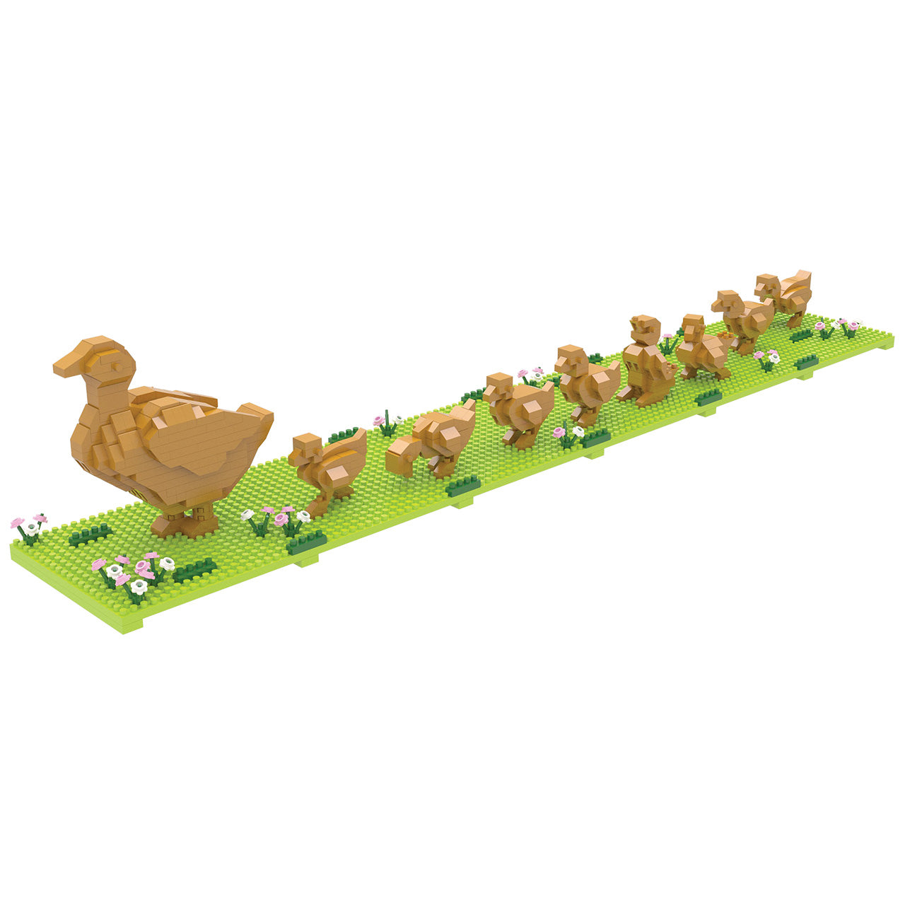 Boston Ducklings