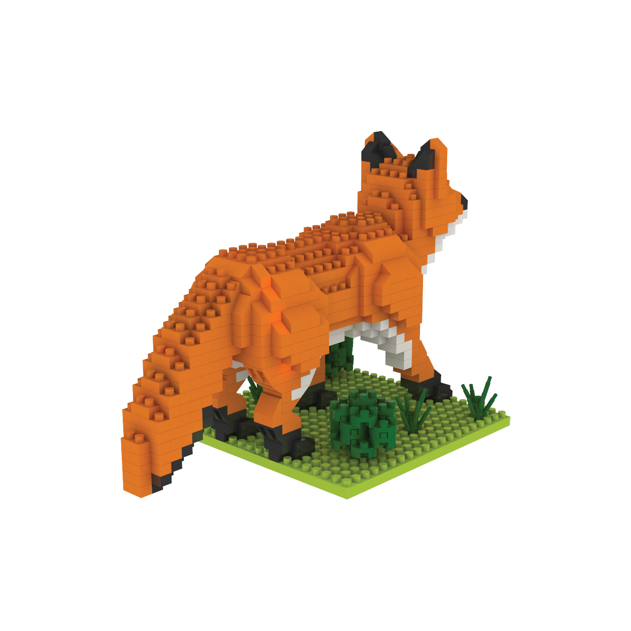 Red Fox