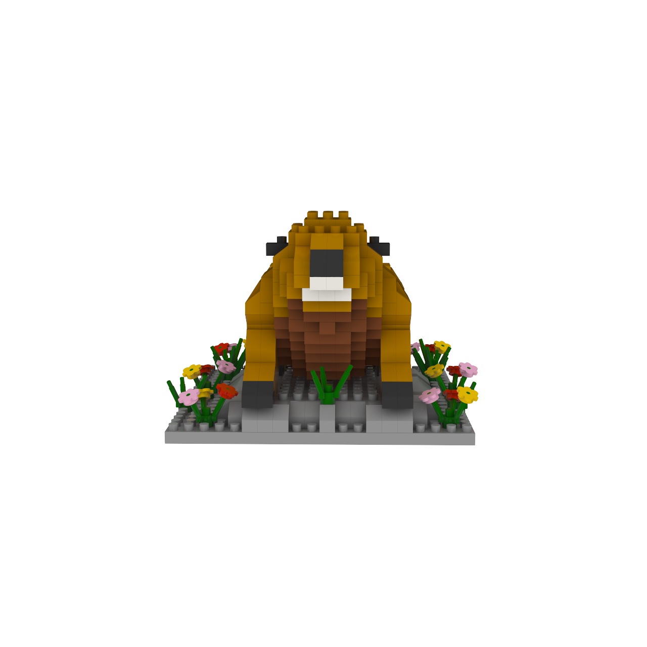 Marmot