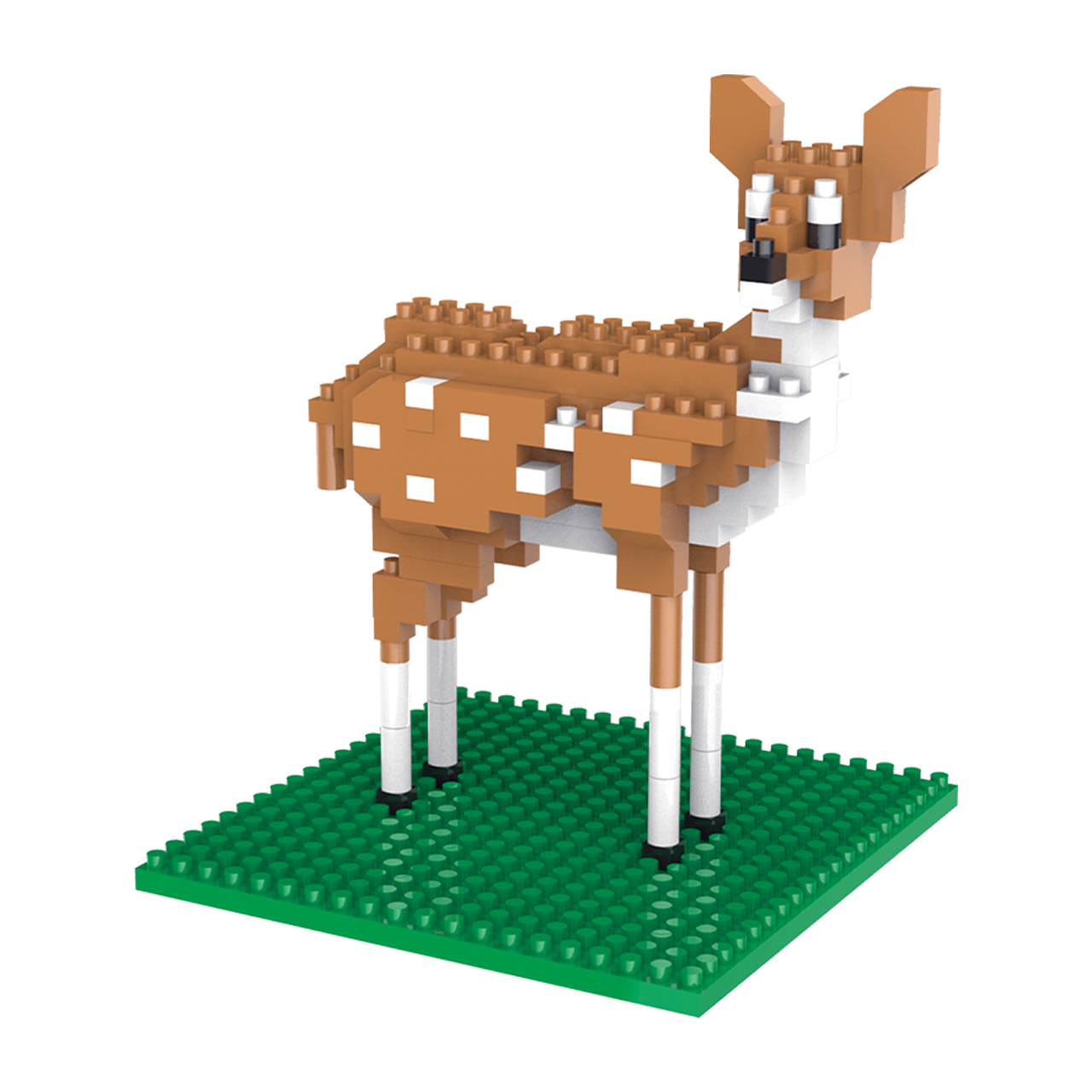 Baby white tailed deer