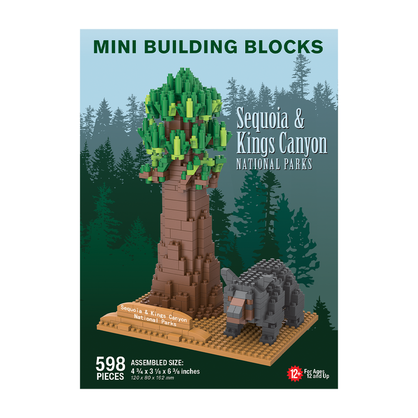 Sequoia Tree with Black Bear
