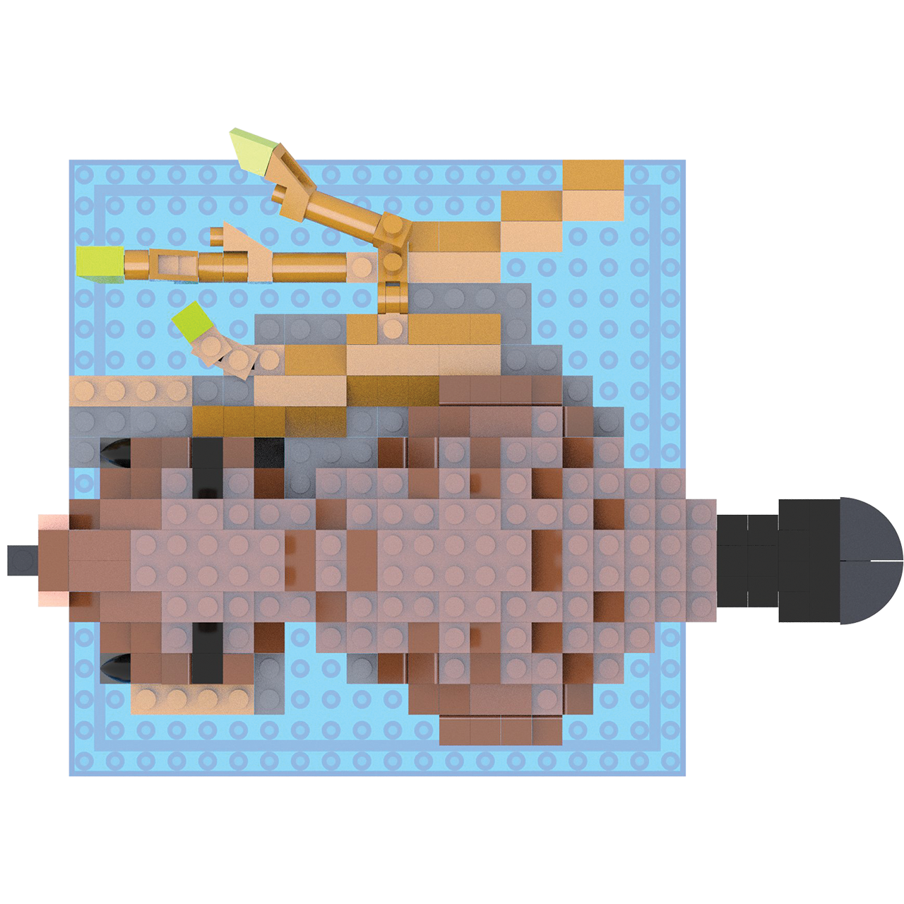 Beaver