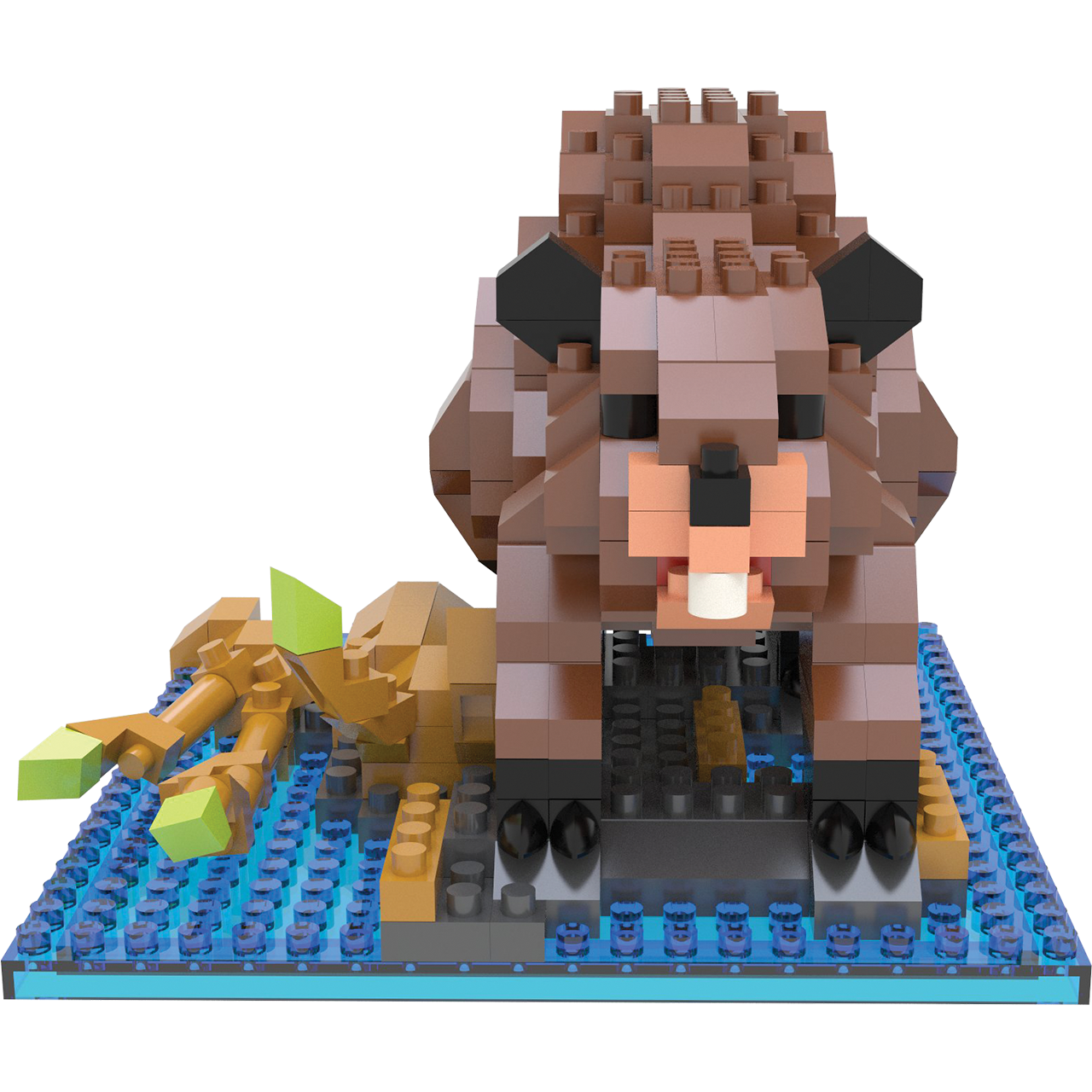 Beaver