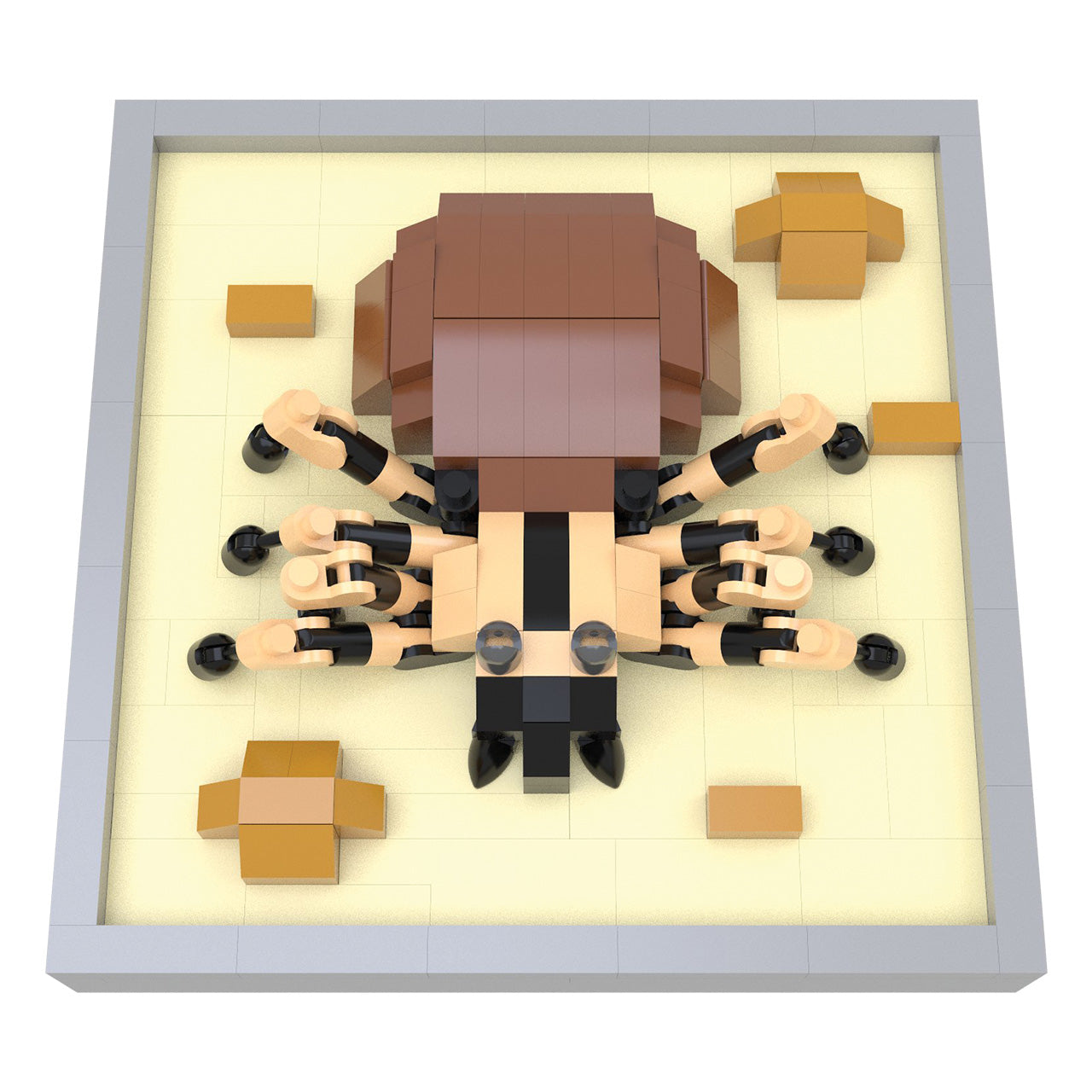 Tarantula Magnet
