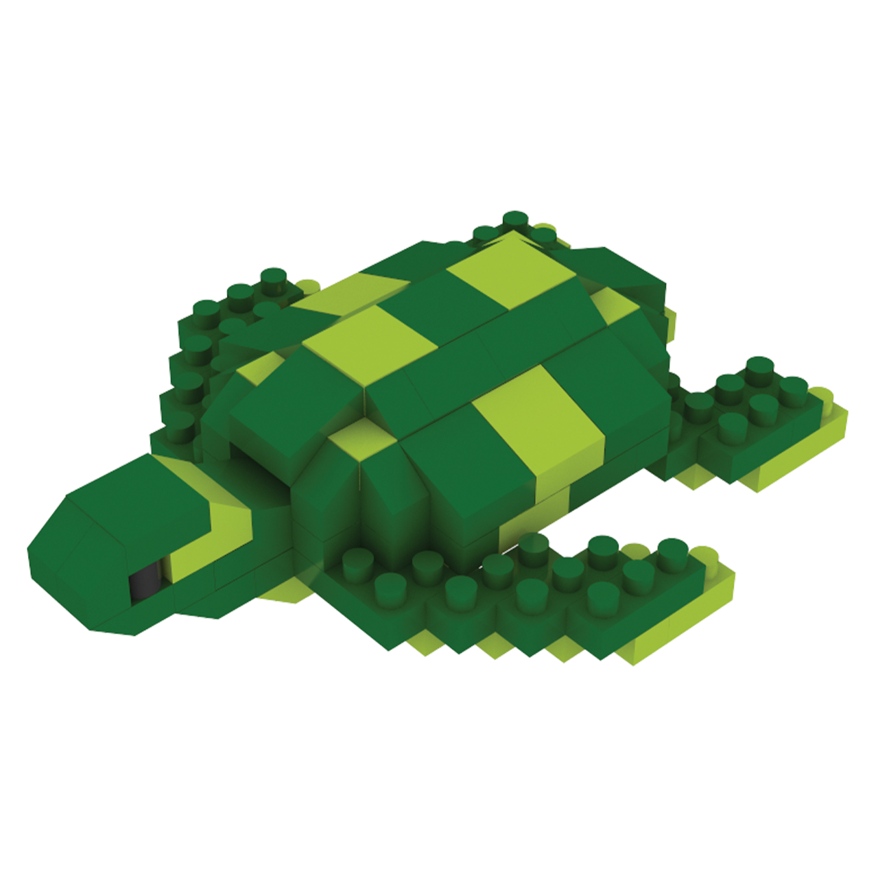 Green Sea Turtle