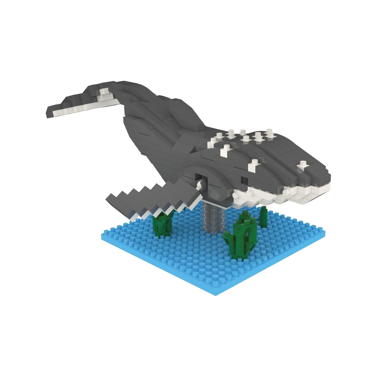 Humpback Whale