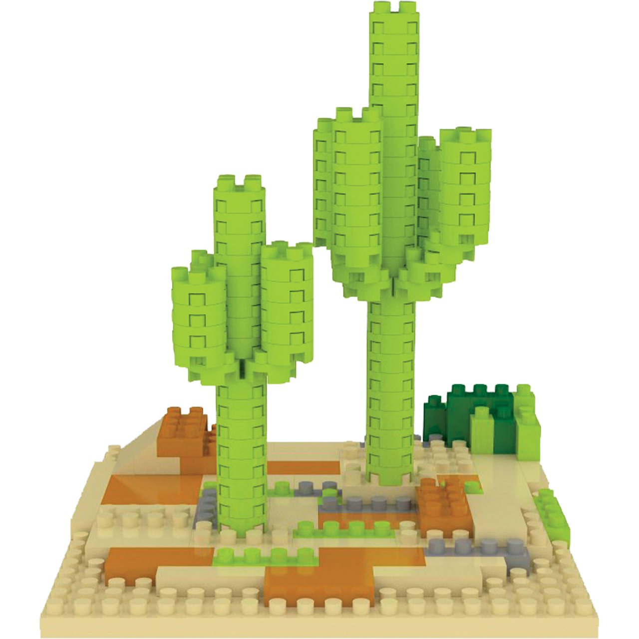 Sonoran Desert - Saguaro Cactus