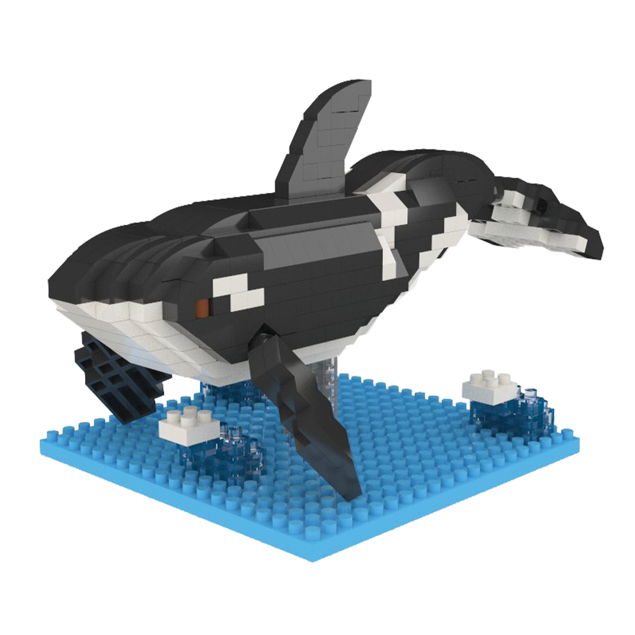 Orca