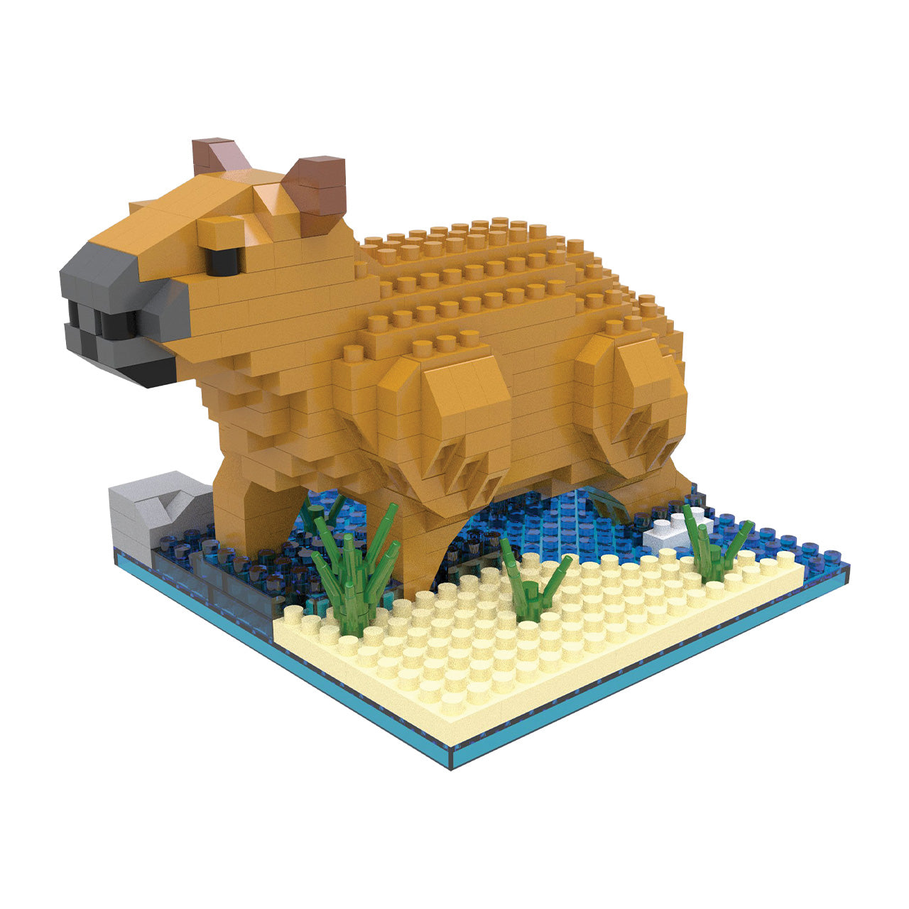 Capybara