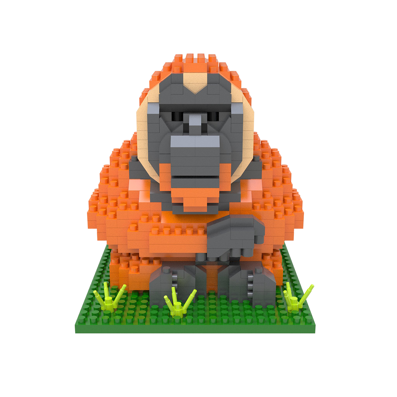 Orangutan