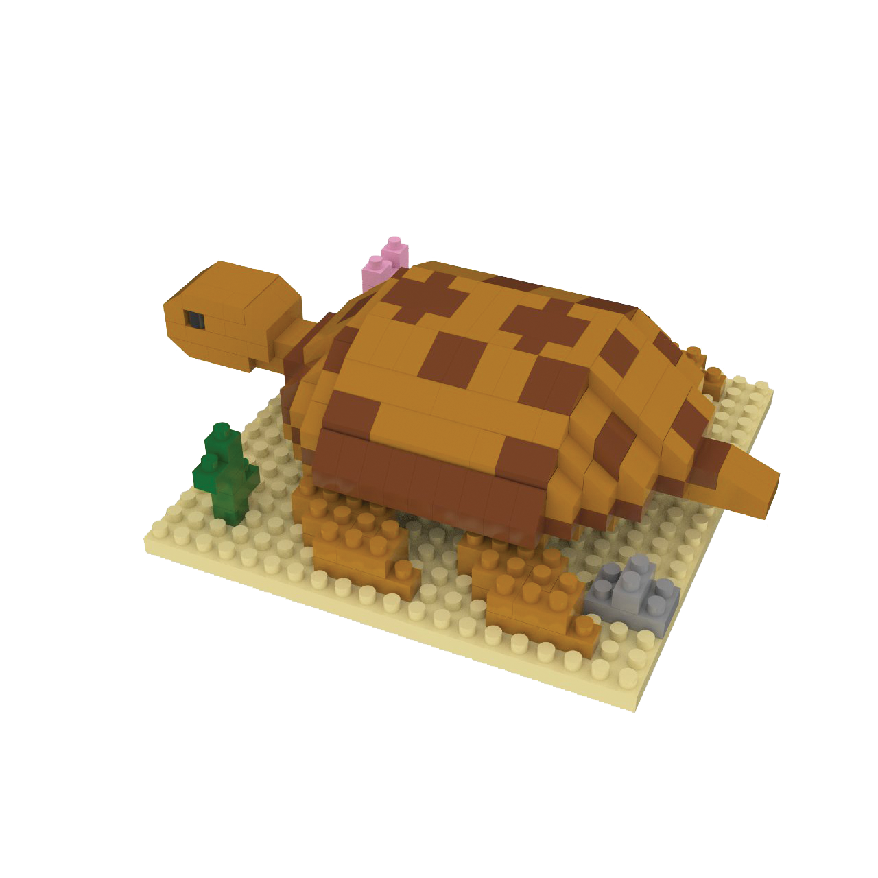 Desert Tortoise