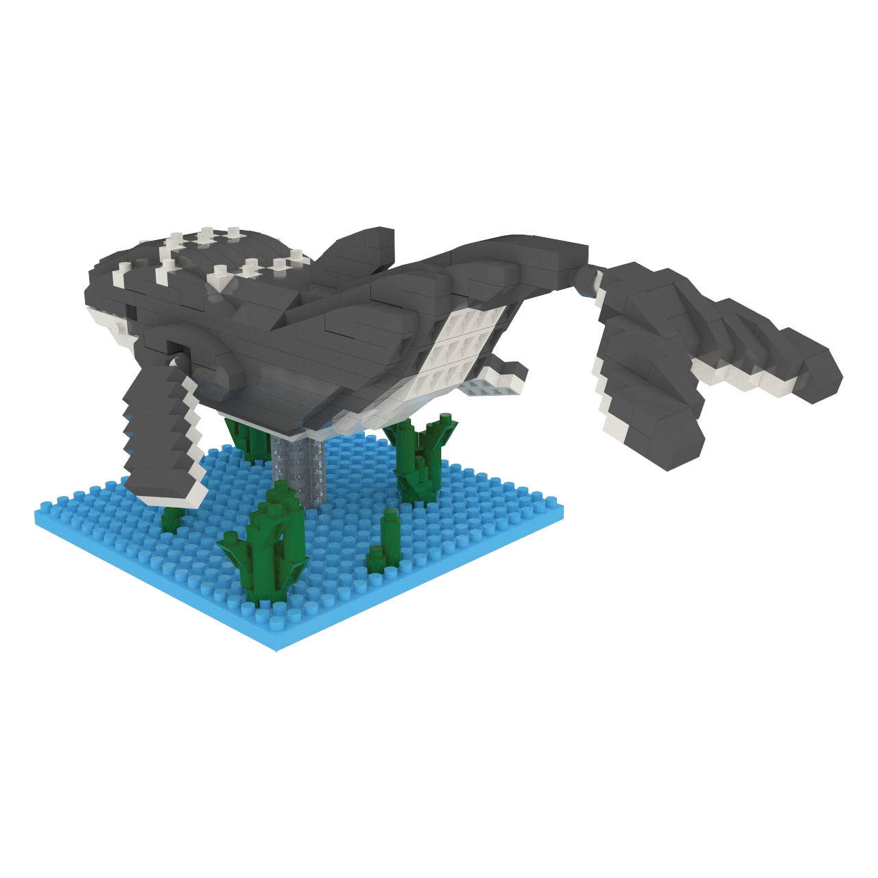 Humpback Whale