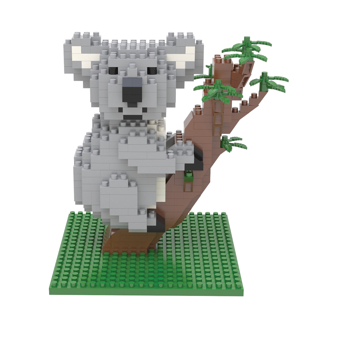 Koala