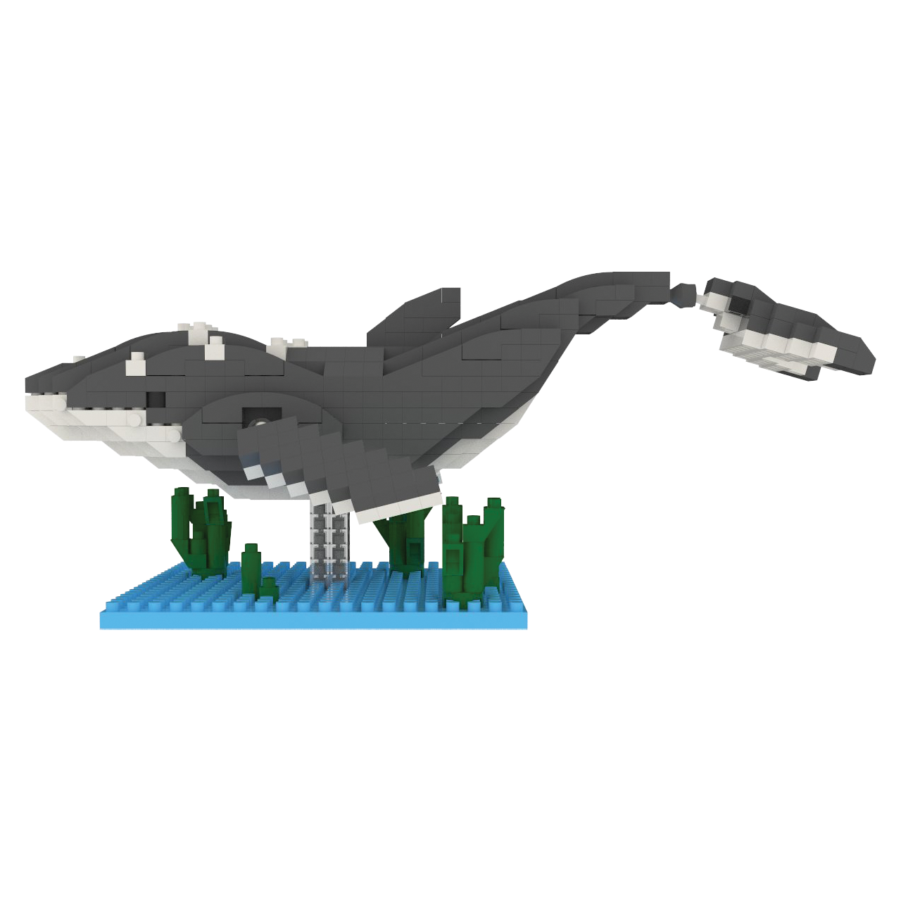 Humpback Whale