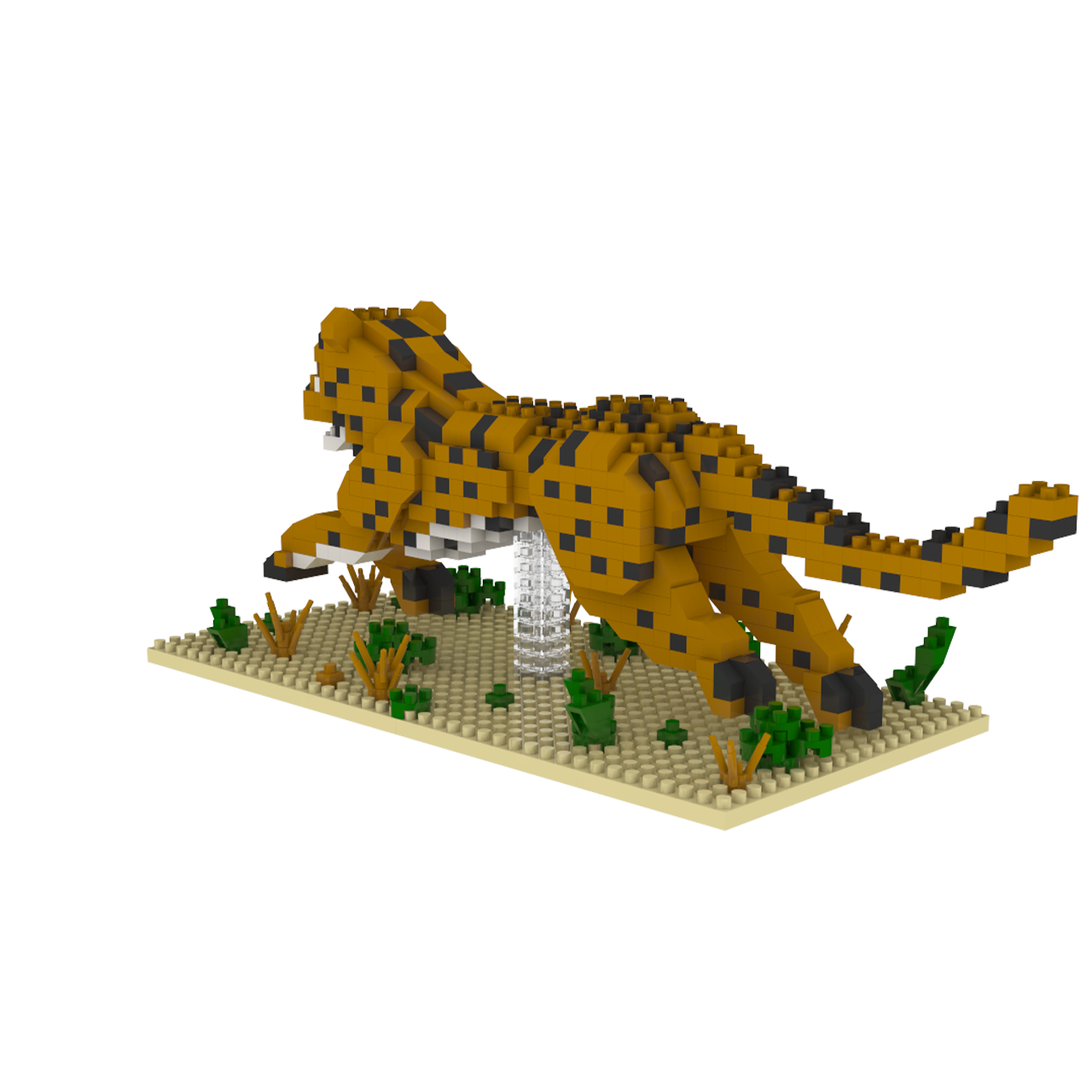 Cheetah