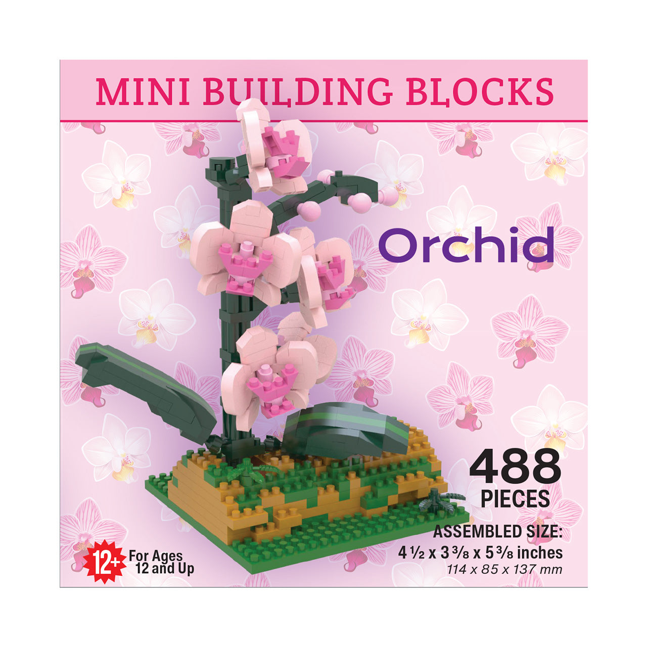 Orchid