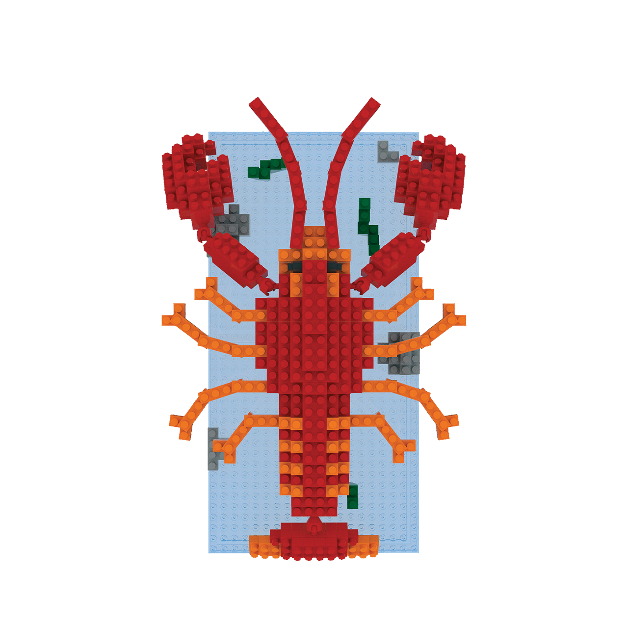 Lobster