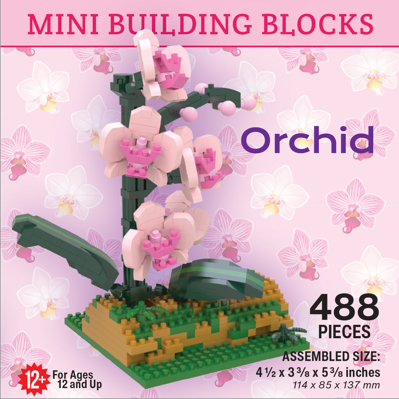 Orchid