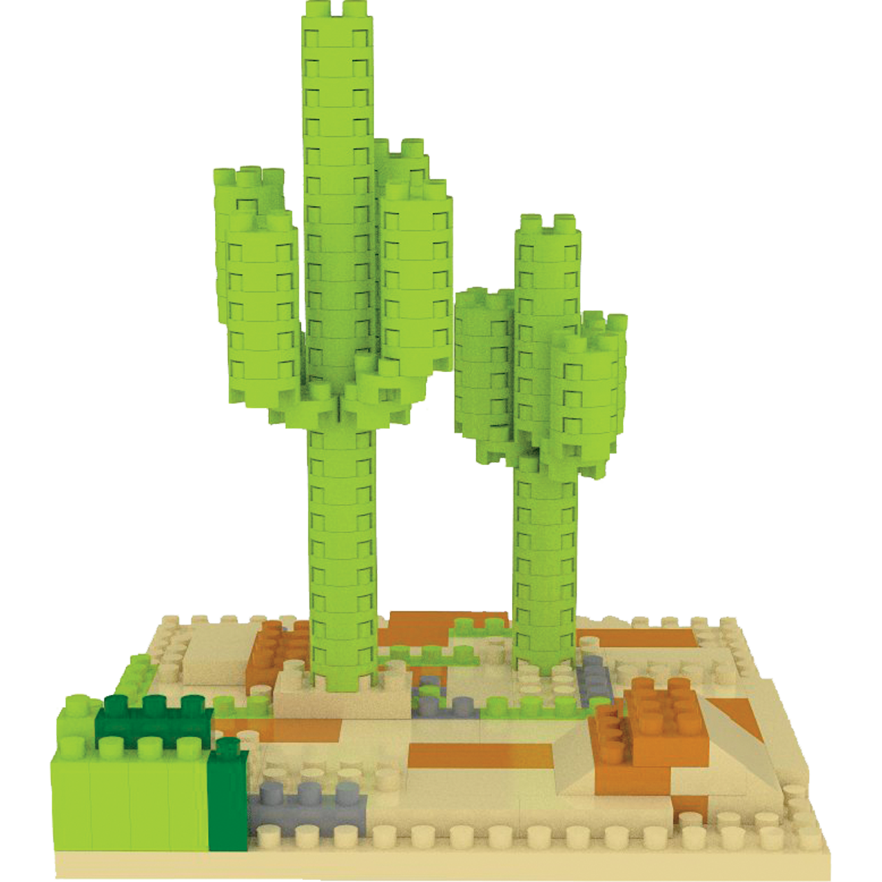 Sonoran Desert - Saguaro Cactus