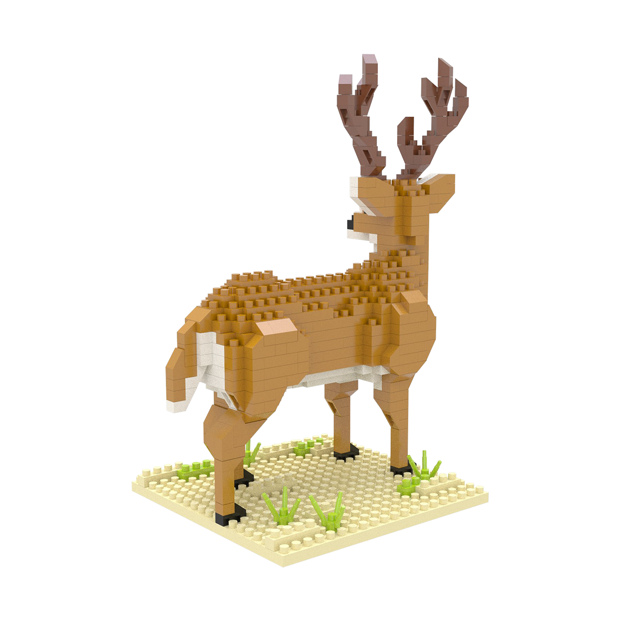 White-Tailed Buck