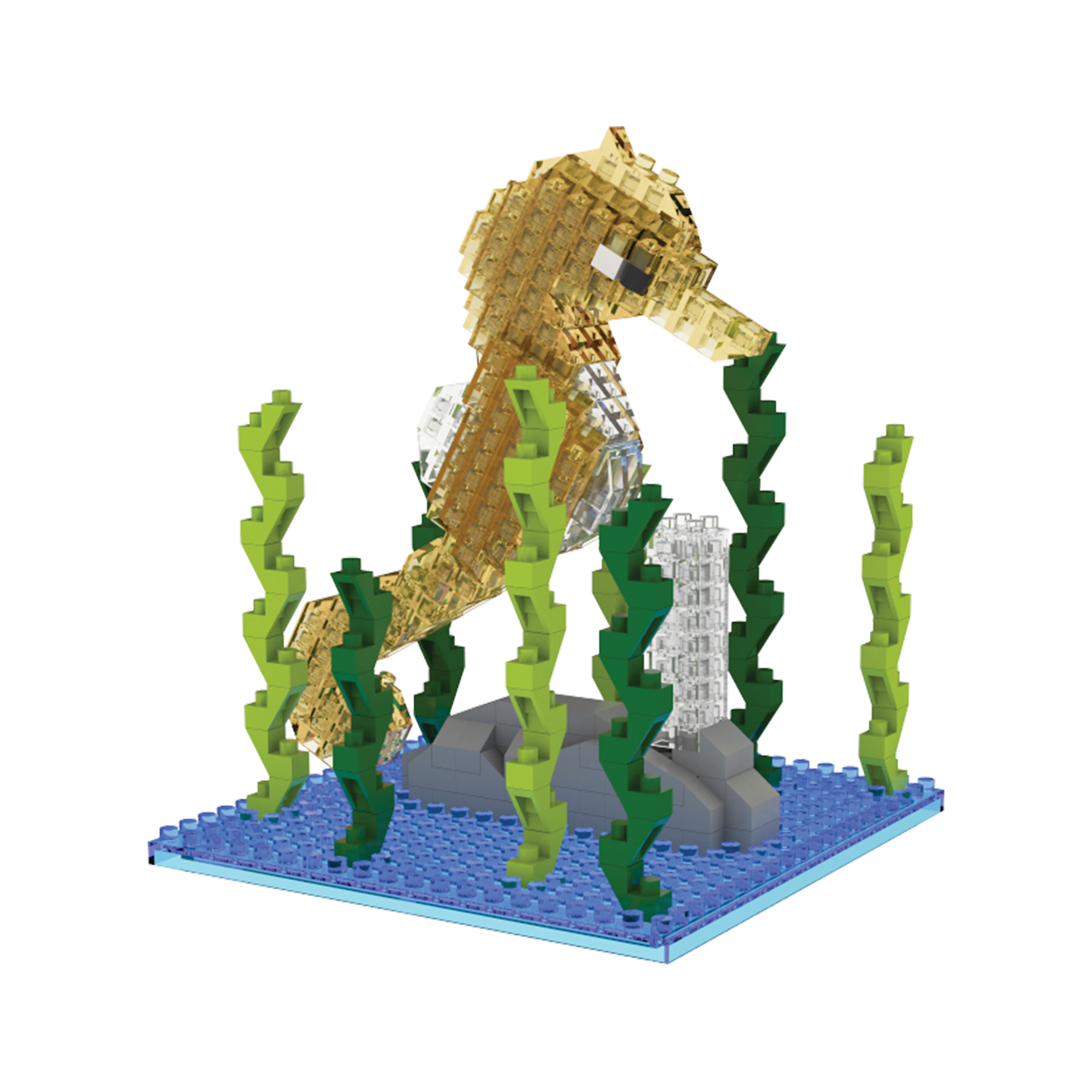 Seahorse