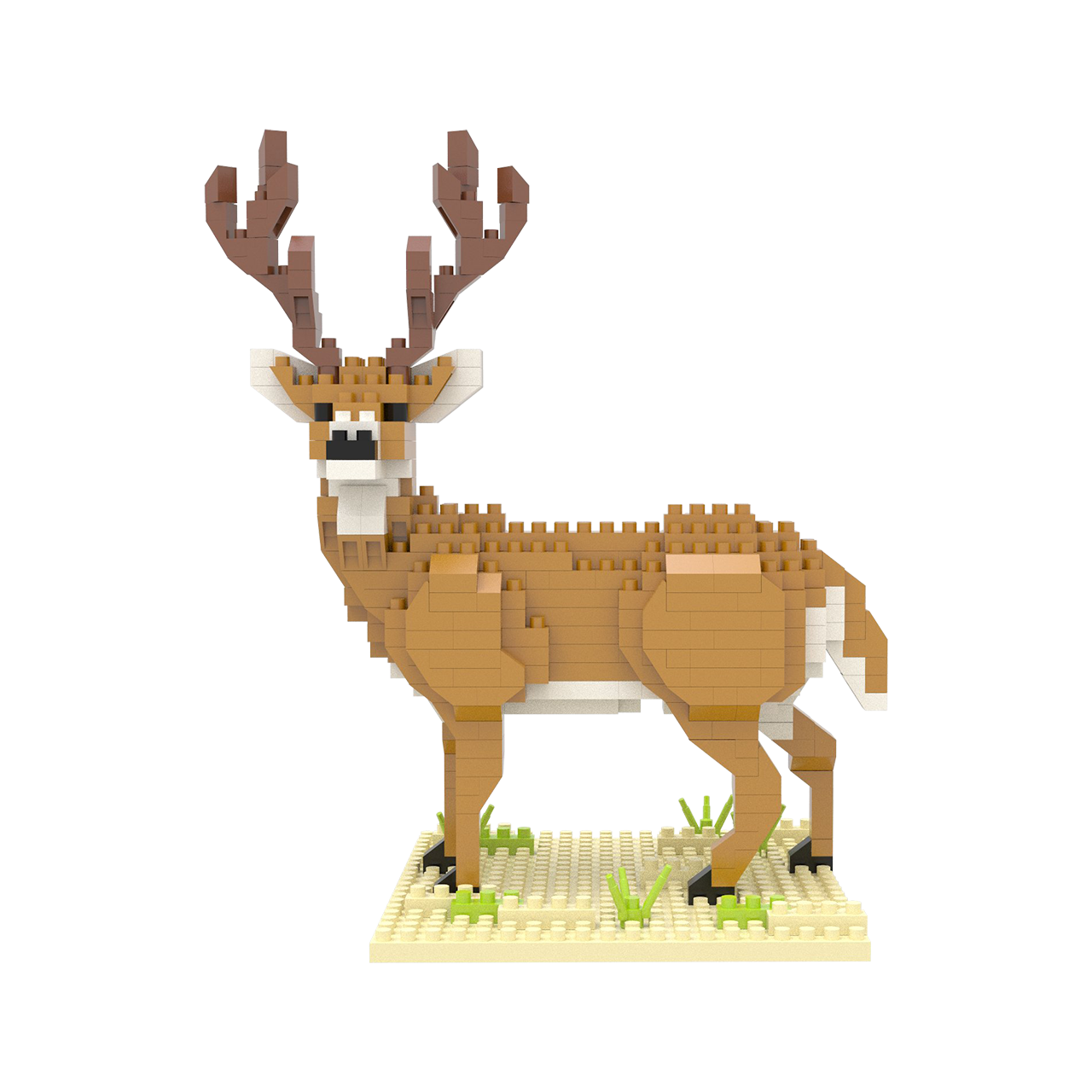 White-Tailed Buck