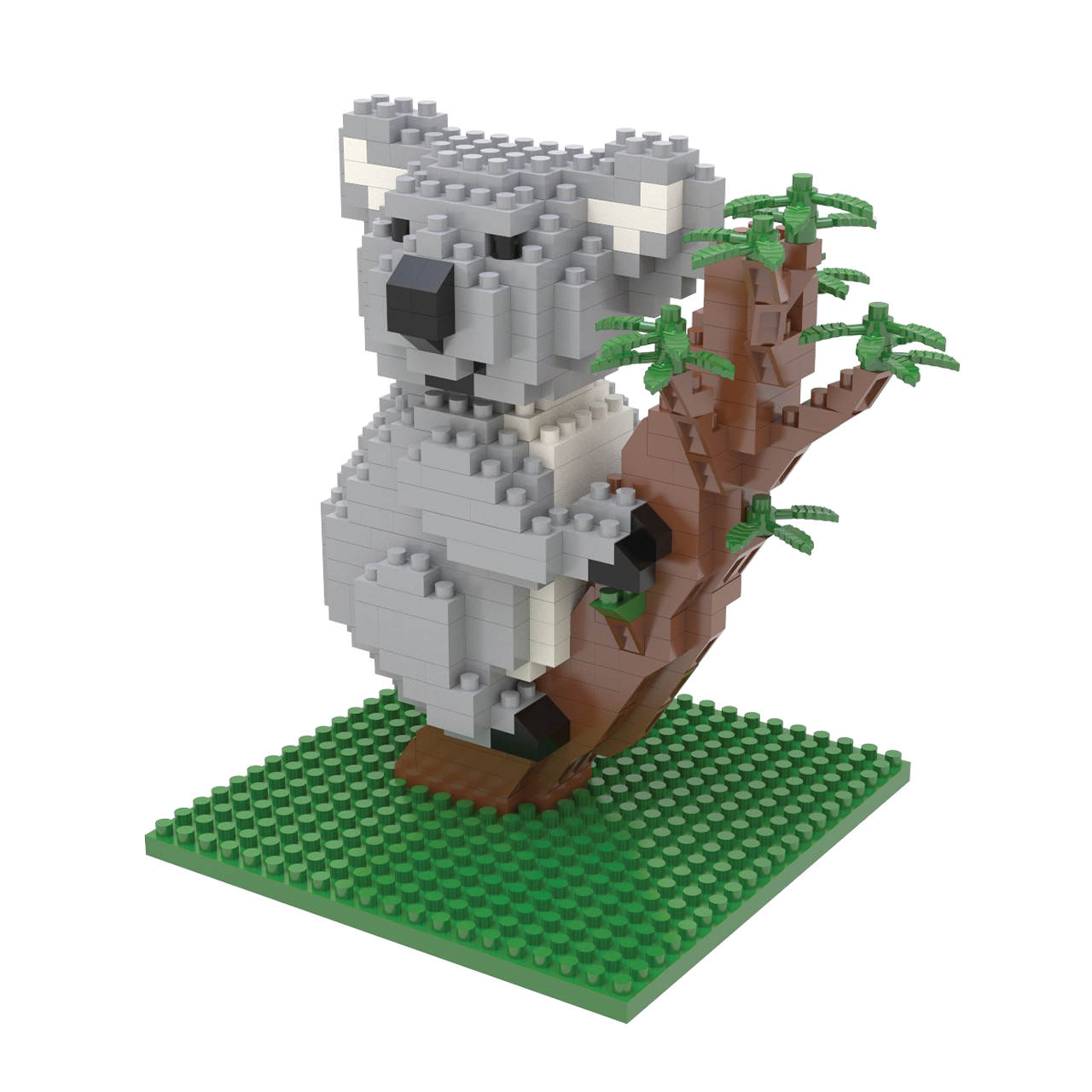 Koala