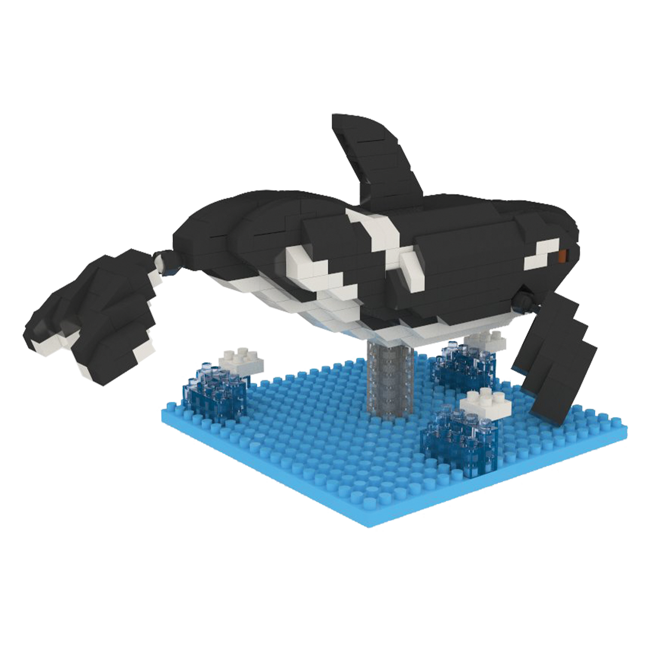 Orca