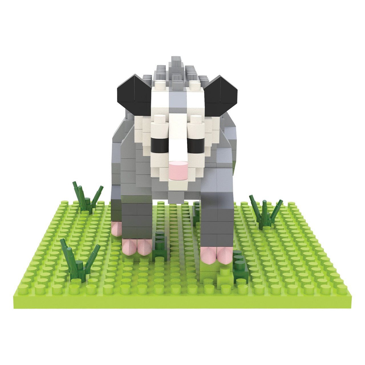 Opossum