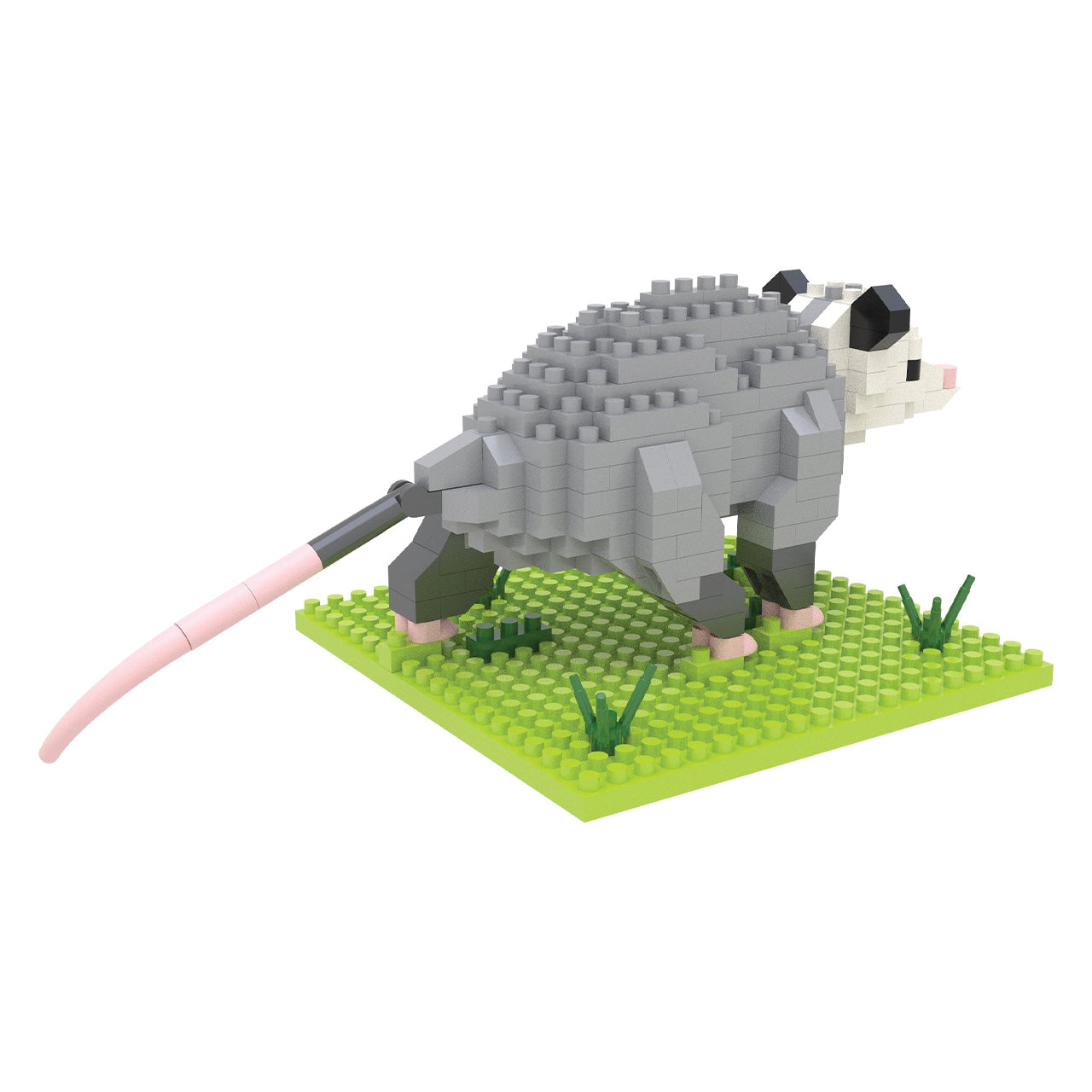 Opossum