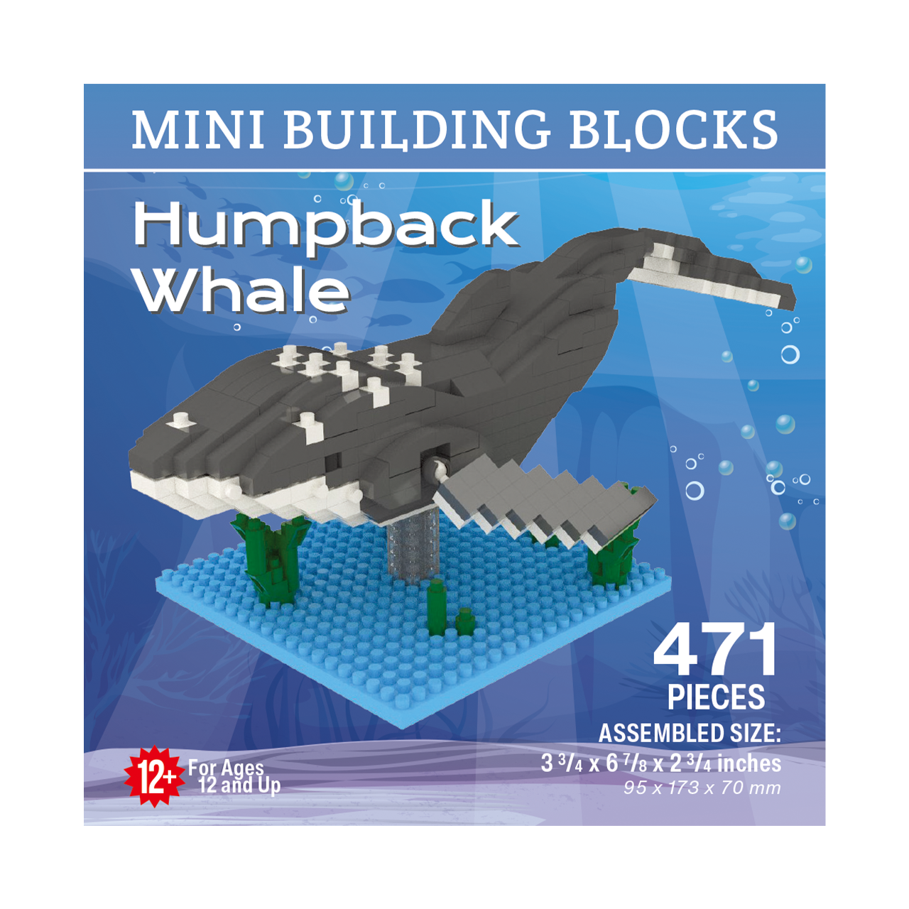 Humpback Whale