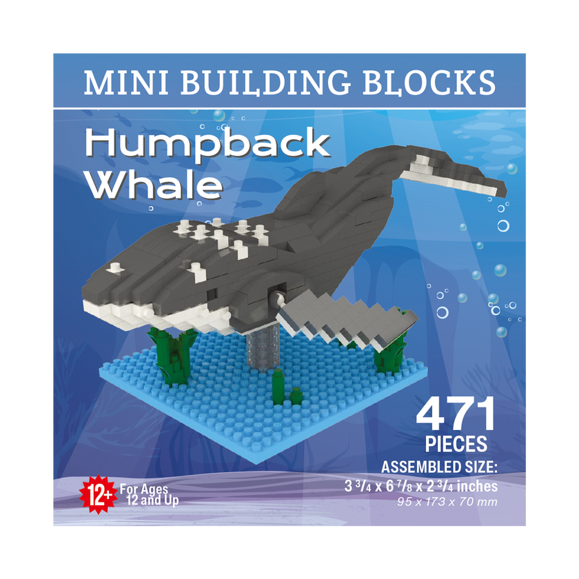 Humpback Whale