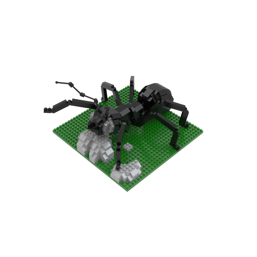 Mega Block Insect Build Insects – The Mini Block