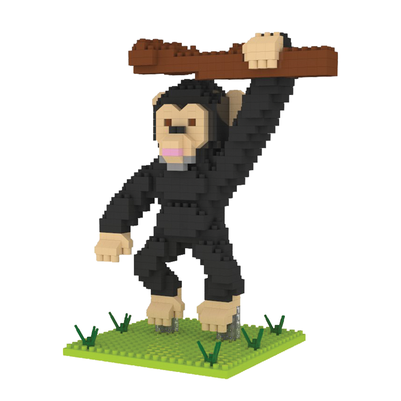 Chimpanzee